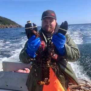 Meet your Posher, Dylan